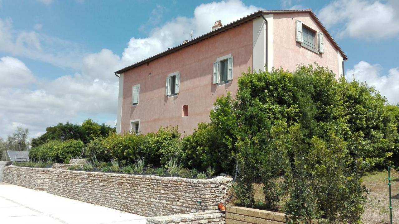 Agriturismo Casale Bonaparte Cellere Ngoại thất bức ảnh