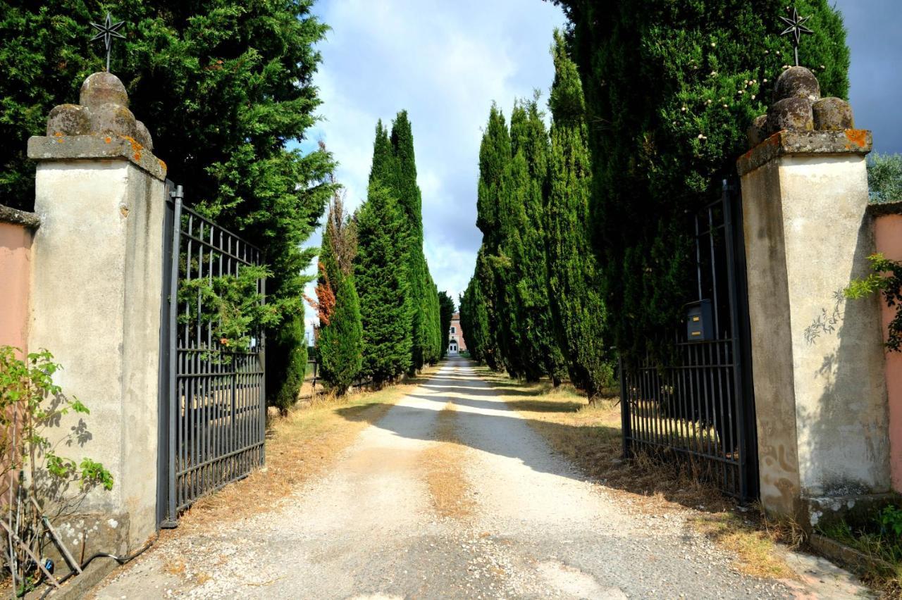 Agriturismo Casale Bonaparte Cellere Ngoại thất bức ảnh